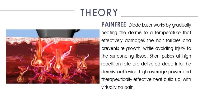 theory